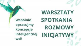 Ankieta Smart Village Wilkszyn