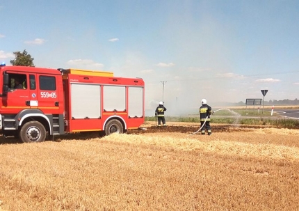 Na ratunek papudze, alarm w żłobku i pożary (z raportu strażaków)