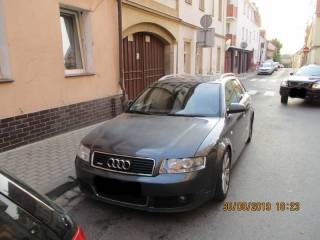 Działania podjęte przez Straż Miejską w Środzie Śląskiej