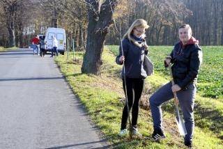 Zieleńszy powiat. Posadzili drzewka i krzewy