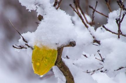 Wielkanocne anomalie pogodowe - jak będzie?