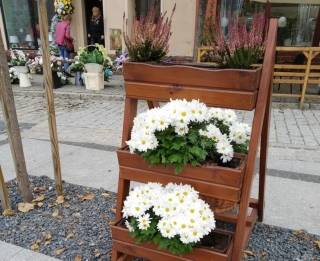 Zniszczył kwiaty z rynku. Został ukarany!