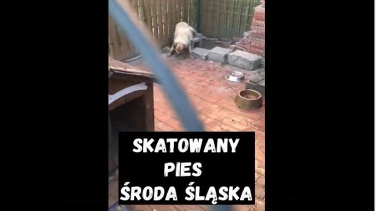 Fot. Ekostraż