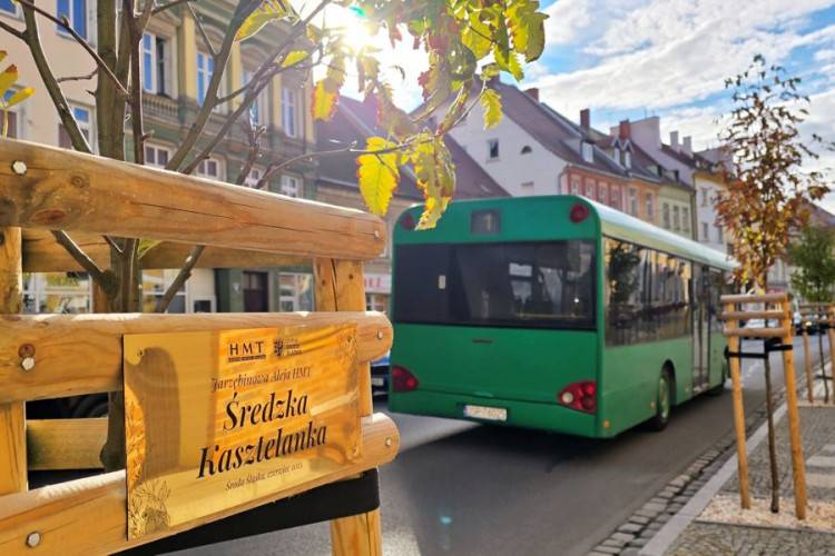 Konkurs rozstrzygnięty – jarzębiny przed ratuszem mają swoje imiona