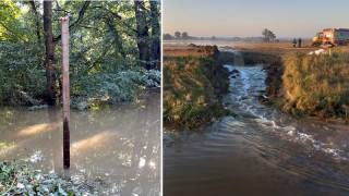 Fot. Gmina Środa Śląska