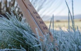 Informacja nt. możliwości składania wniosków o oszacowanie szkód spowodowanych wiosennymi przymrozkami