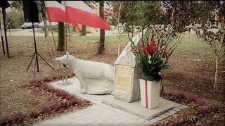 Jedyne takie miejsce w powiecie średzkim