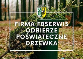 Firma FBSerwis odbierze poświąteczne żywe drzewka