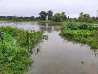 Fot. Gmina Miękinia