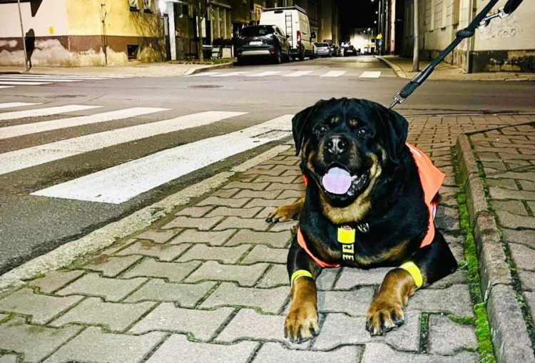 Jesienne wieczory? Odblask obowiązkowy!