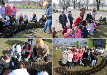 Fot. Urząd Miejski w Środzie Śląskiej