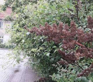 Mieszkaniec: Należy zauważyć ten problem!