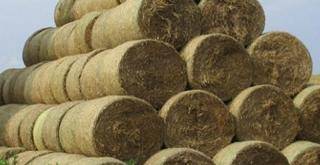 Czytelnik: &quot;Ta sterta jest zbyt blisko zabudowań!&quot;