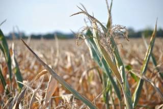Szacowanie szkód na terenie gminy Środa Śląska