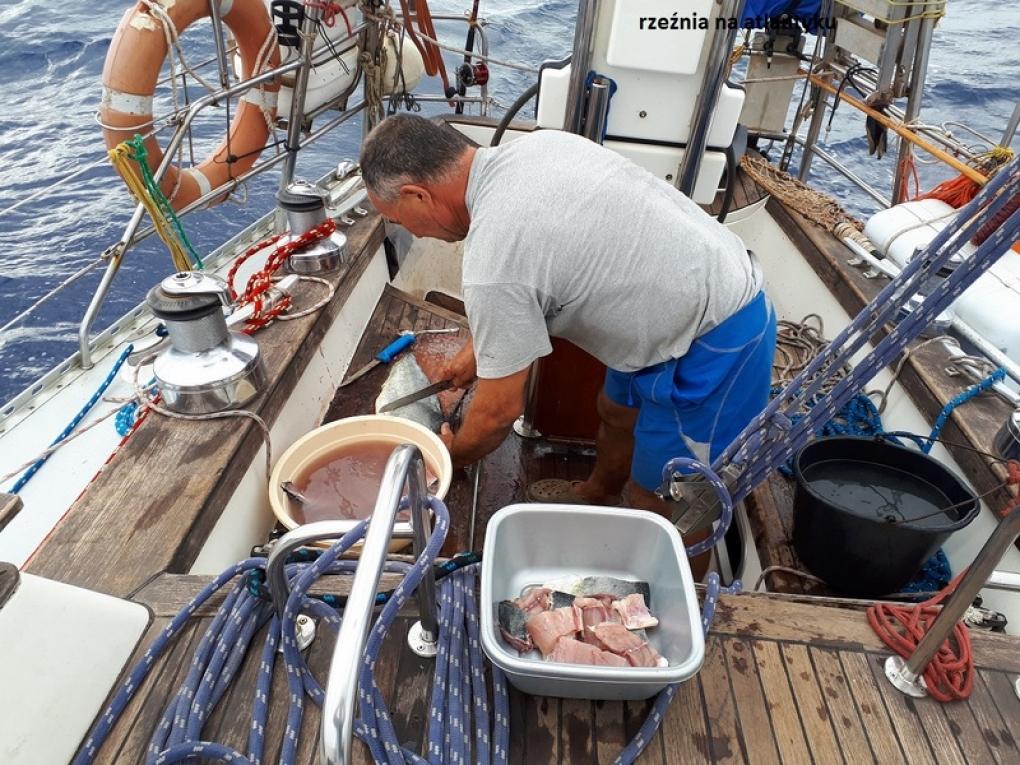 Średzianie w podróży dookoła świata. Ryby pod żaglami