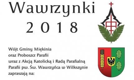 Festyn parafialny w Wilkszynie