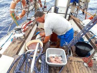 Średzianie w podróży dookoła świata. Wyspy Kanaryjskie – atlantycki raj