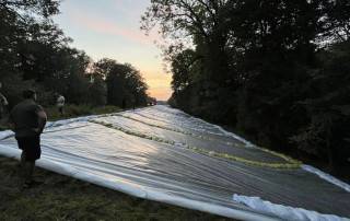 Fot. Gmina Miękinia