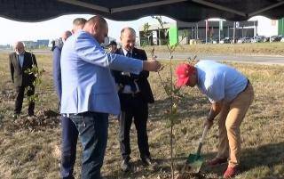 100 dębów na 100-lecie niepodległości - akcja z udziałem kandydata na burmistrza