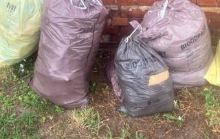 Fot. Urząd Miejski w Środzie Śląskiej