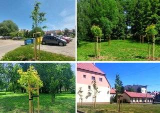 Fot. Urząd Miejski w Środzie Śląskiej