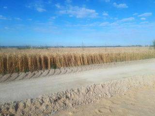 Na terenie gminy Miękinia trwa budowa ścieżki rowerowej