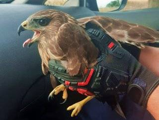 Fot. KPP w Środzie Śląskiej