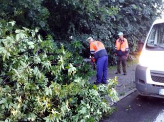 Trwa usuwanie skutków nocnej burzy / fot. Urząd Miejski w Środzie Śląskiej