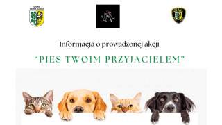 Pies Twoim Przyjacielem - akcja średzkiej Straży Miejskiej