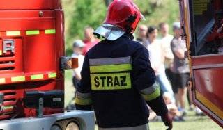 Fot. Archiwum Rolanda