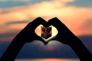 14 lutego to data szczególna