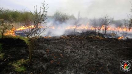 Już w lutym rozpoczął się niechlubny sezon wypalania traw