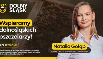 Dolny Śląsk wspiera pszczelarzy – Samorząd przekazuje ciasto pszczele