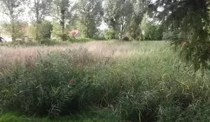 Gmina oczyści zbiornik małej retencji w Juszczynie