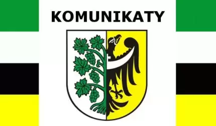 Przypomnienie dla przedsiębiorców! Oświadczenie o wartości sprzedaży napojów alkoholowych za rok 2024