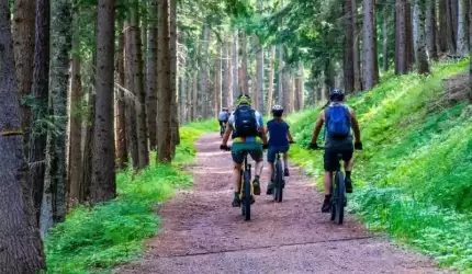 Gmina Miękinia zaprasza na Rodzinny Rowerowy Rajd Terenowy