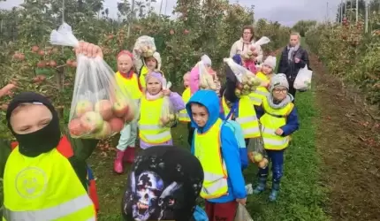 Dzień Przedszkolaka w przedszkolu w Ciechowie – ognisko w Maciejowym Sadzie!
