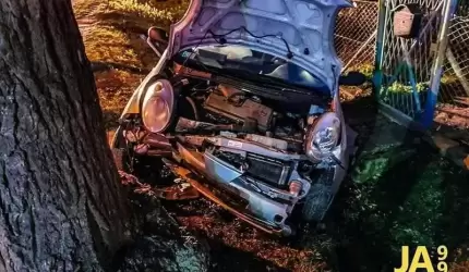 Samochód wypadł z drogi i uderzył w drzewo