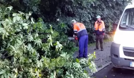 Trwa usuwanie skutków nocnej burzy