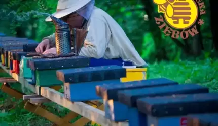 Cudze chwalimy, pochwalmy i nasze – cz. 1 Pasieka Ziębów