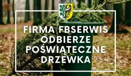 Firma FBSerwis odbierze poświąteczne żywe drzewka