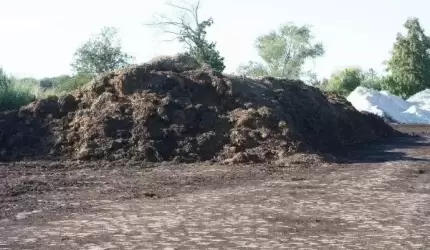 Mieszkańcy alarmują - śmierdząca sprawa!