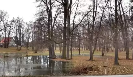 Gmina wzywa Jamp do naprawy drenażu w parku
