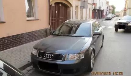 Działania podjęte przez Straż Miejską w Środzie Śląskiej