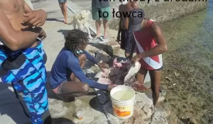 Średzianie w podróży dokoła świata. Zatoka Wszystkich Świętych – Salvador