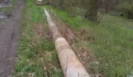 Interwencja w Tauronie ws. słupów między Szczepanowem a Brodnem