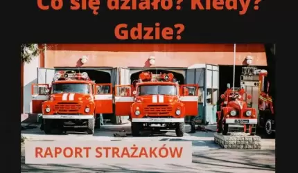 Co się działo? Kiedy? Gdzie? (raport strażaków)