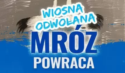 Mróz powraca do Powiatowego Centrum Kultury Alternatywnej