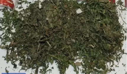 Miał przy sobie marihuanę