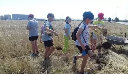 Dzieci przygotowują wieniec dożynkowy